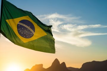 Visto Naturalização - Brasil