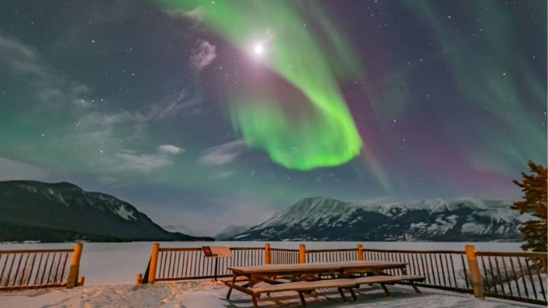 Auroras Boreais no Canadá em Whitehorse in Yukon Territory 
