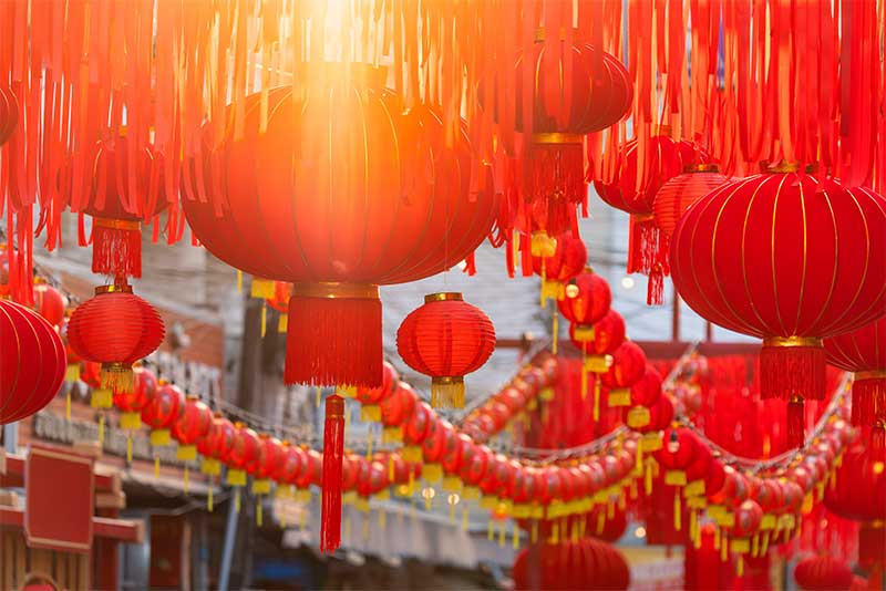 Acomodação, seguro e adaptação cultural
